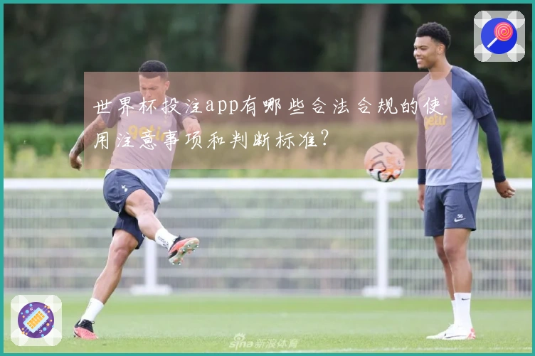 世界杯投注app有哪些合法合规的使用注意事项和判断标准?